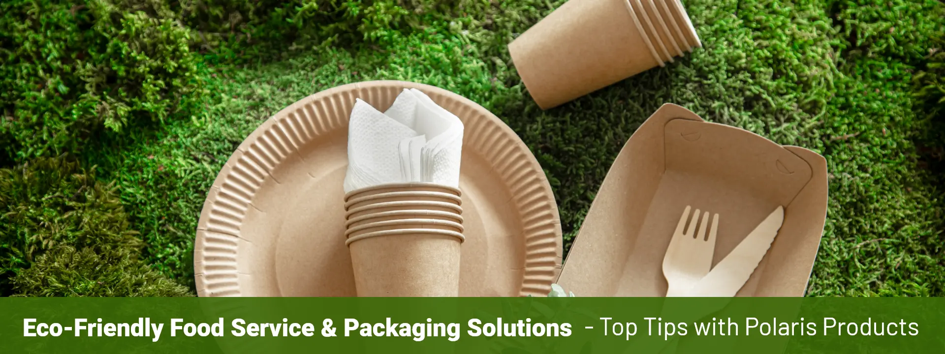 Top eco-friendly tips for sustainable food service and packaging solutions from Polaris Products.