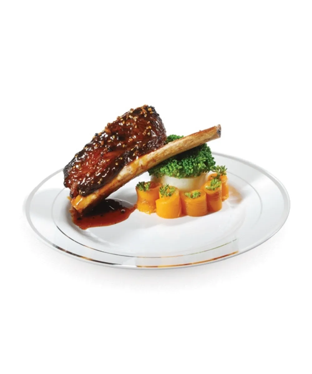 PLATE 10.25" SILVER RIM PLASTIC ROUND, CATERING PLATES FOR PARTY - 120/CASE