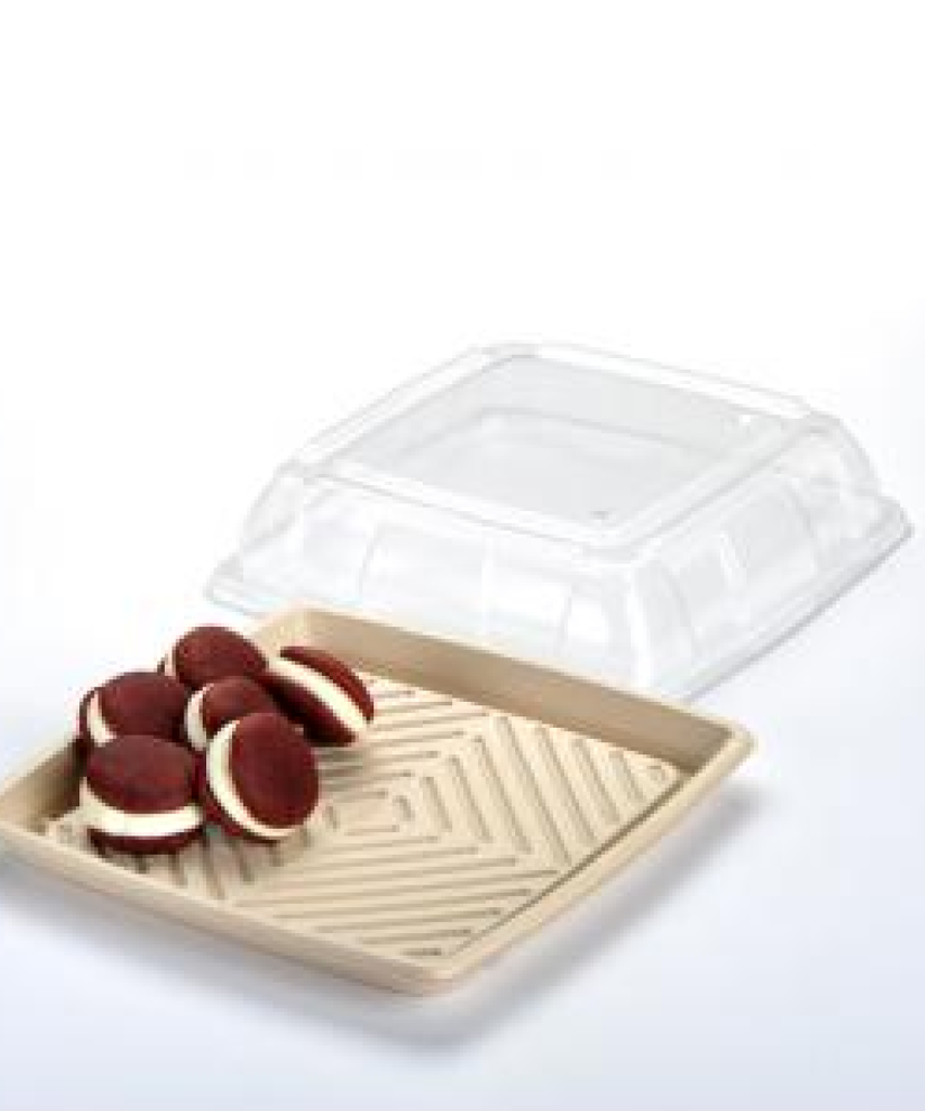 TRAY LID 12" SQUARE 3" DOME CLEAR PET FOR 12" PULP PLATTER SUSTAINABLE  - 25/CASE