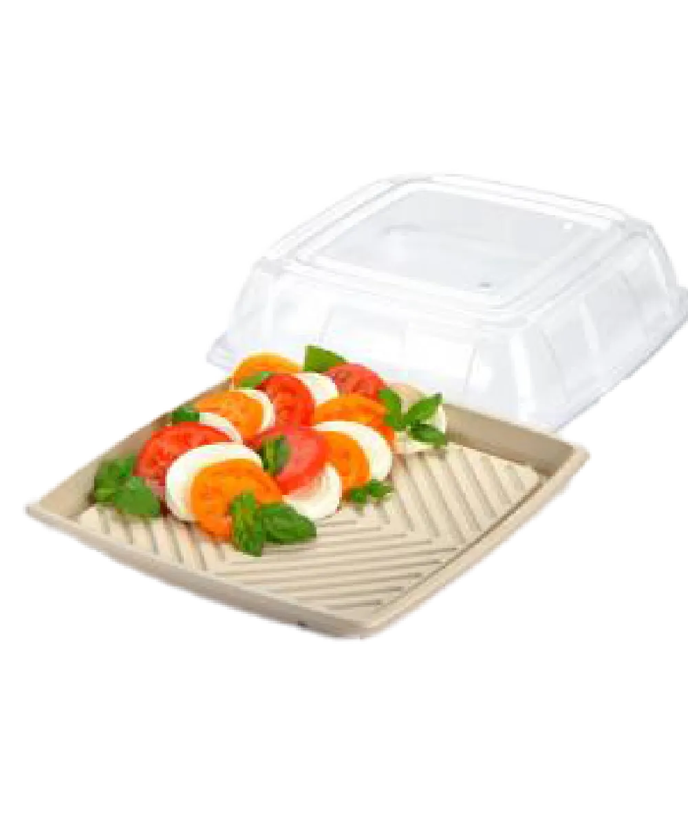 TRAY LID 14" SQUARE 3.5" DOME CLEAR PET FOR 14" PULP PLATTER SUSTAINABLE   - 25/CASE