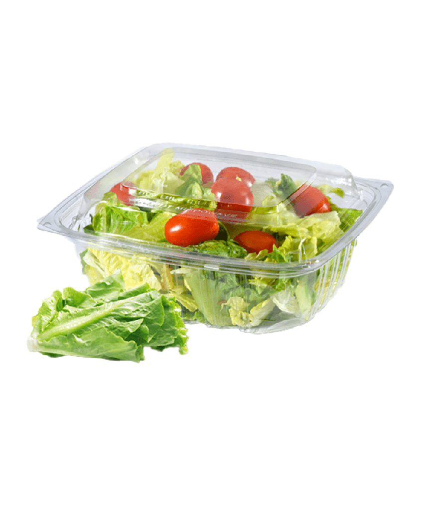 CONTAINER PLASTIC 8x8x2-3/4 SQUARE PLASTIC CLEAR HINGED LID - 200/CASE
