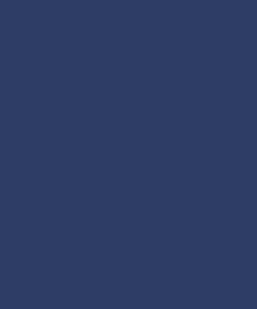 TISSUE NAPKIN 40x40cm 2-PLY SOFT 1/8 FOLD DARK BLUE - 1500/CASE