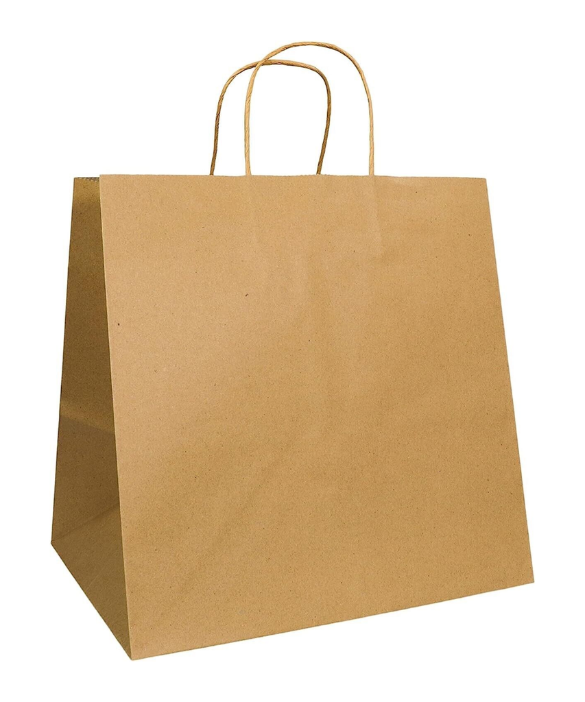 BAG PAPER 10"x5"x10" 100GSM BROWN TWIST HANDLE RECYCLABLE - 250/BOX